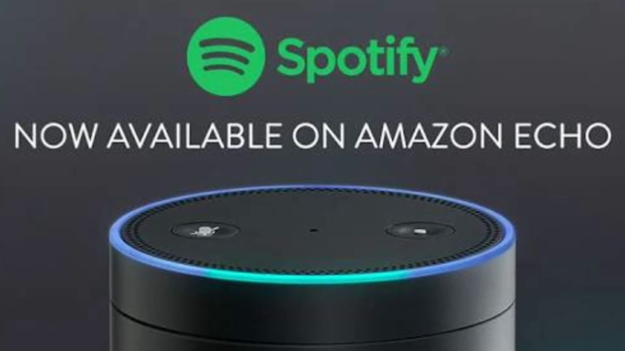 Amazon Echo App Support Unavailable Spotify